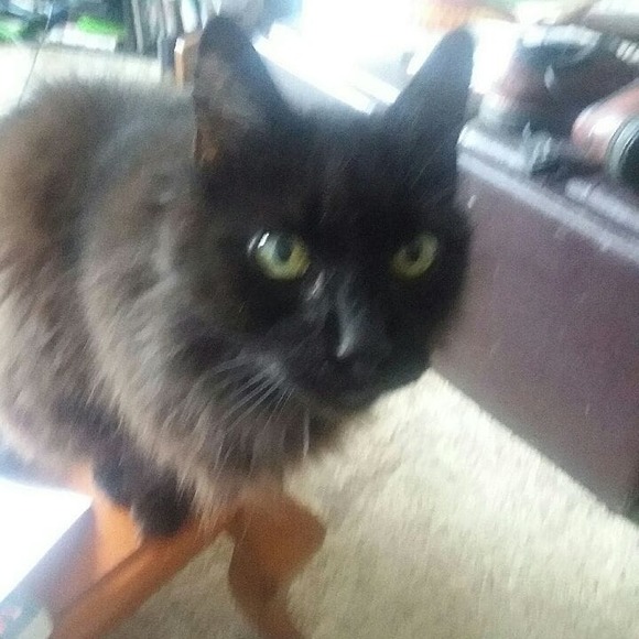 Meet your Posher, Jon - Picture 1 of 1